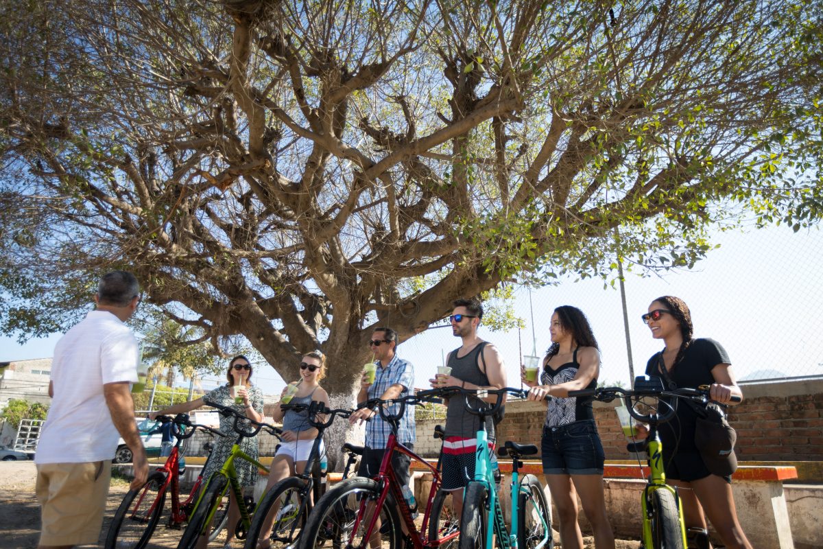 Bikes & Bites