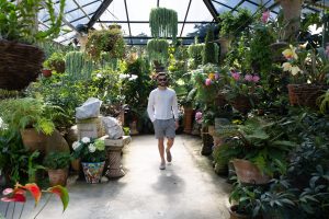 Awesome Things To Do In Puerto Vallarta-Botanical Gardens