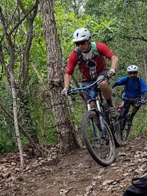 mountain bike riders on a trail