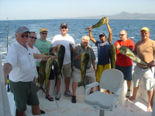 eight sport fishermen on the stern of a boat holding their catches of dorado fish in puerto vallarta.