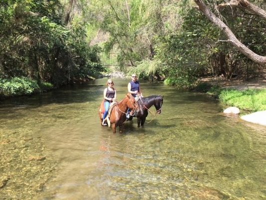 a couple on two horses wading in the clear water of the pitillal river. 