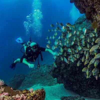 scuba diver exploring the rock formations at Los Arcos Marine Reserve with a school of fish in front of him