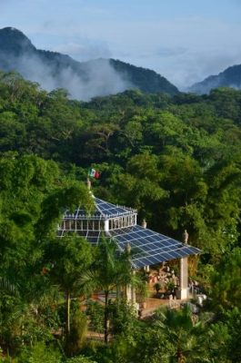 the botanical gardens in puerto vallarta mexico