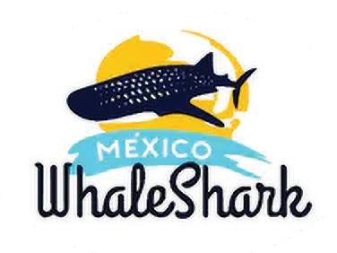 Mexico Whale Shark 